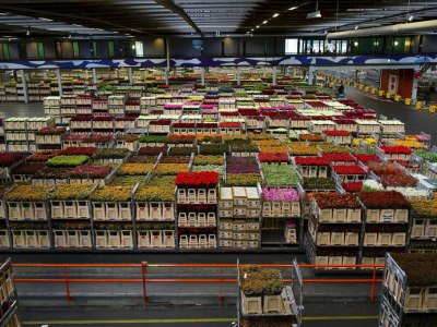 Les types d'entrepôt et leurs besoins en stockage